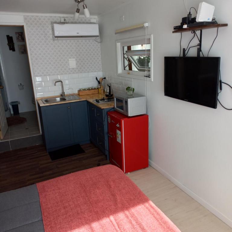 Mini Casa Rocura Valdivia - Apartamento de 1 dormitorio - 12
