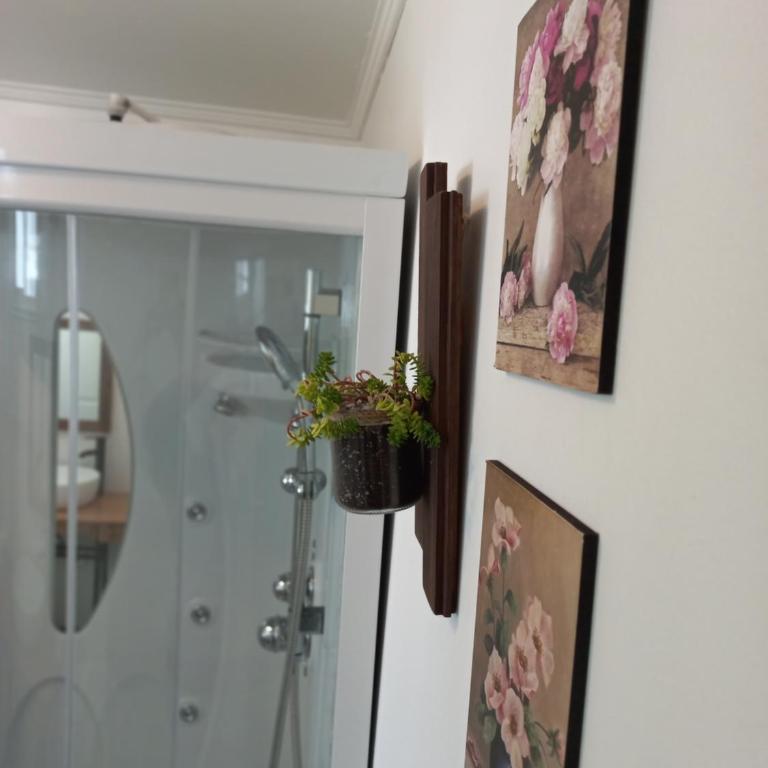 Mini Casa Rocura Valdivia - Apartamento de 1 dormitorio - 19