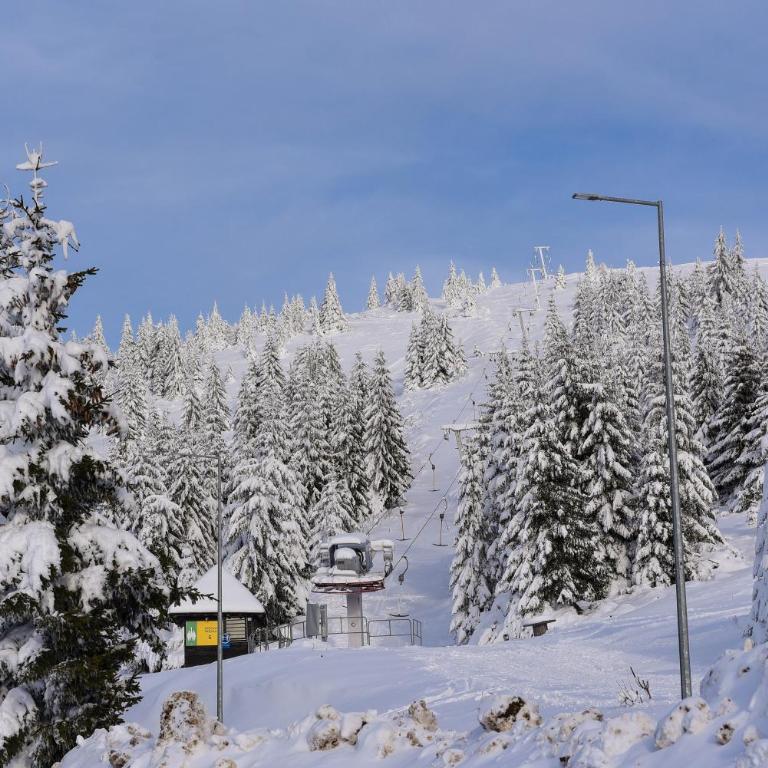 Apartman La Foresta Kopaonik - Apartman sa 1 Spavaćom Sobom - 13