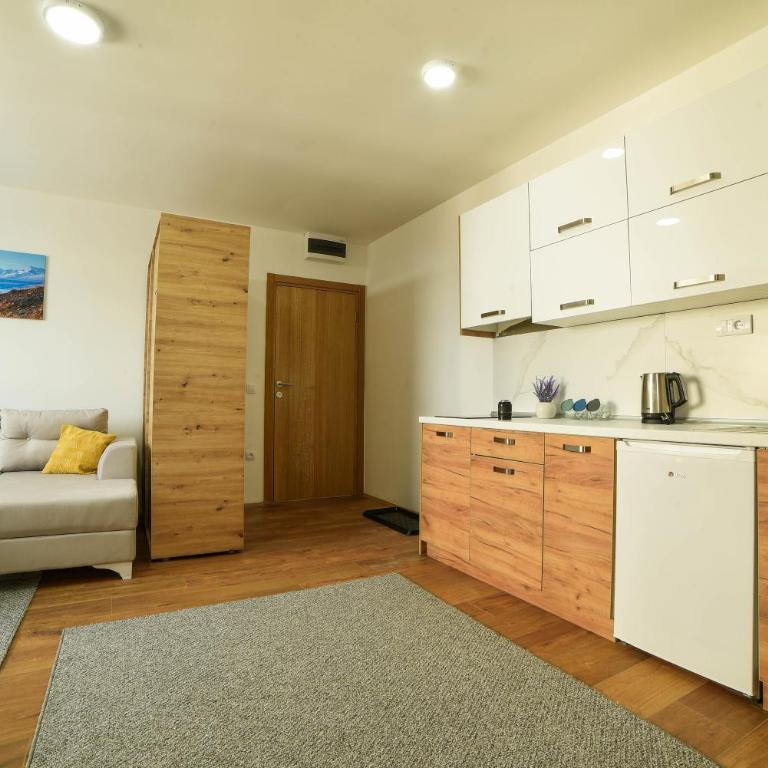 Apartman La Foresta Kopaonik - Apartman sa 1 Spavaćom Sobom - 9
