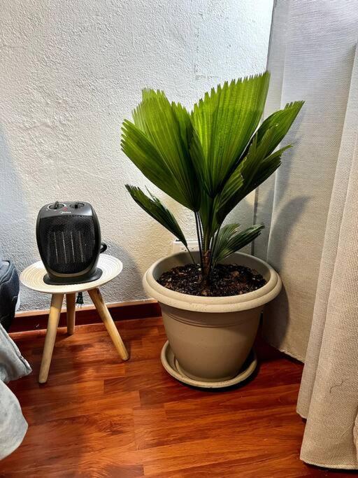 Nonno’s House - Apartamento de 1 dormitorio - 13