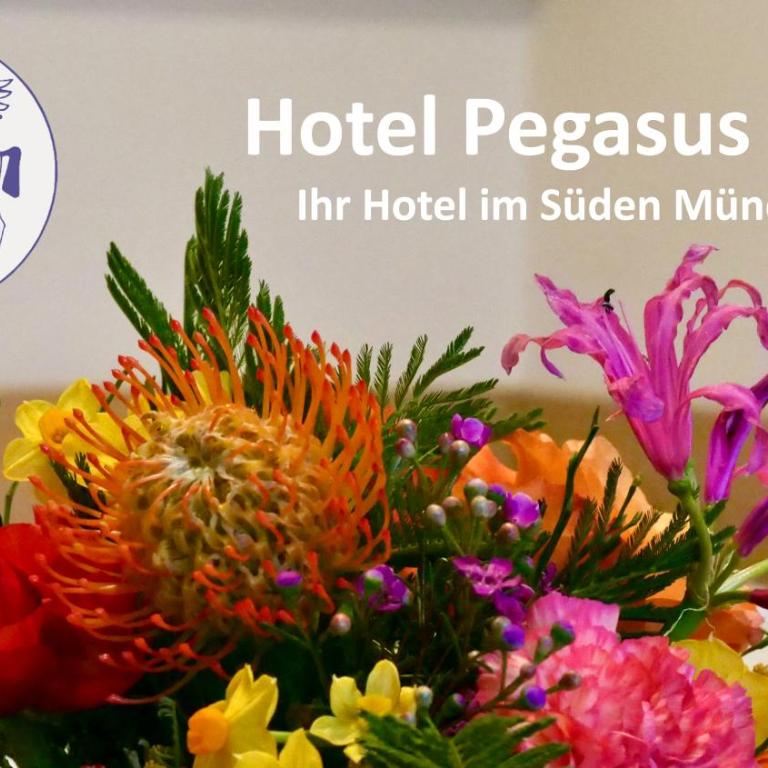 Hotel Pegasus - Einzelzimmer - 9