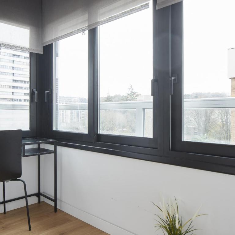 Enjoy - Basque Stay - Apartamento de 2 dormitorios - 12