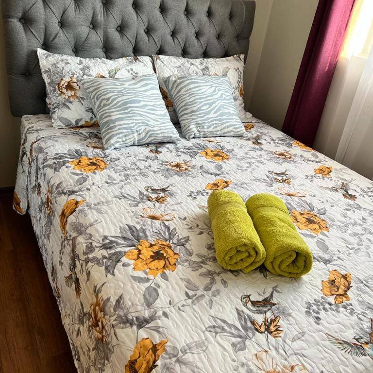 Casa Sector Oriente Talca - Apartment - 4