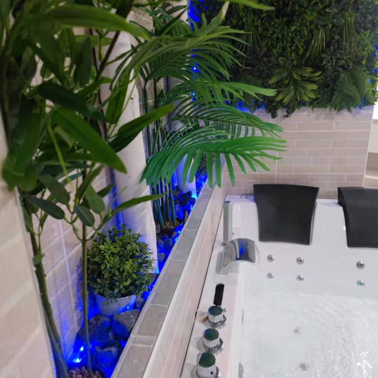 Espectacular apartamento con spa privado - Apartamento de 1 dormitorio - 16