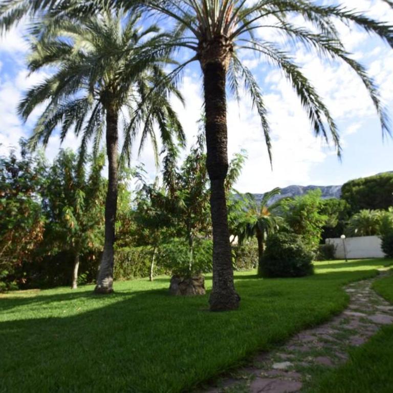 Cozy Studio in Denia - Apartamento de 1 dormitorio - 24