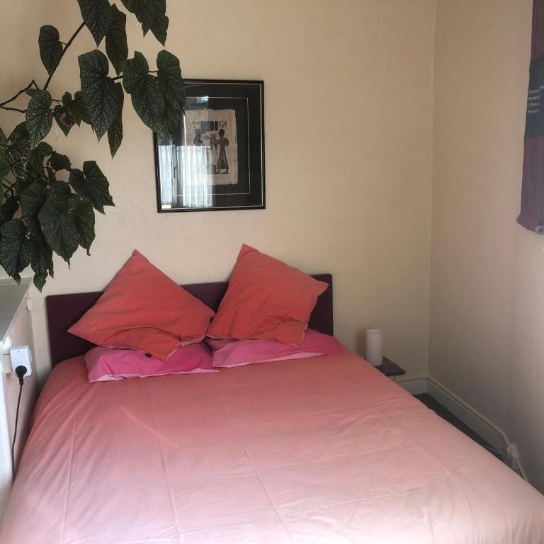J'offre - Proche de l'hyper centre - Appartement avec Douche - 6