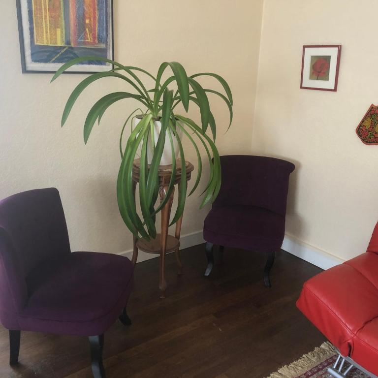 J'offre - Proche de l'hyper centre - Appartement avec Douche - 2