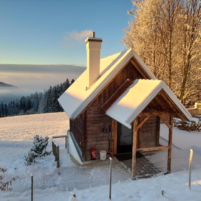 Ferienhütte Zetzhirsch - Apartment mit 1 Schlafzimmer - 37