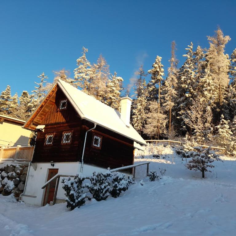 Ferienhütte Zetzhirsch - Apartment mit 1 Schlafzimmer - 36