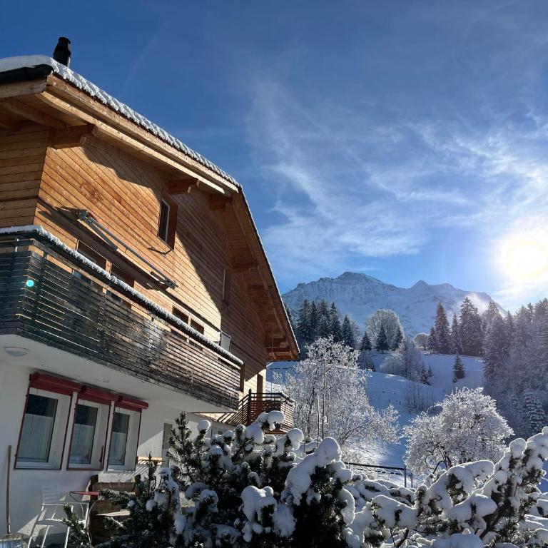 Chalet Viola - Apartment mit 1 Schlafzimmer - 11