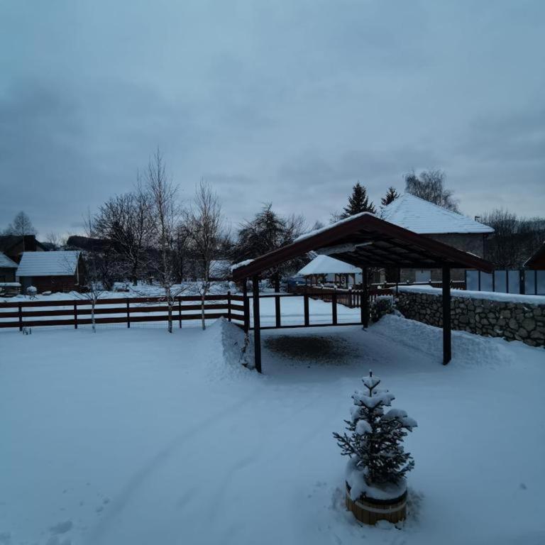 Bjelasica Home - Kuća sa 3 Spavaće Sobe - 9