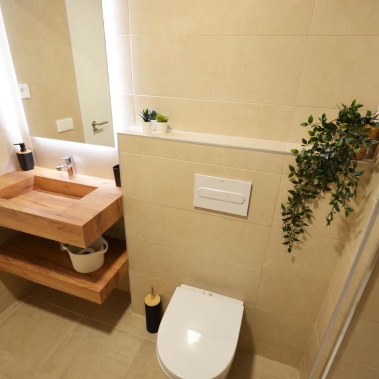 Golive Barques - Two-Bedroom Apartment - 15