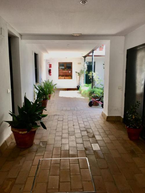La Terraza Azul - Apartamento Ático - 37
