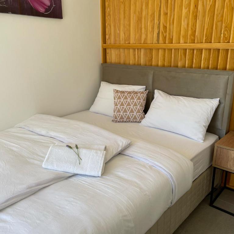 Aparthotel - VILLA JOVICIC - Superior Apartman - 8