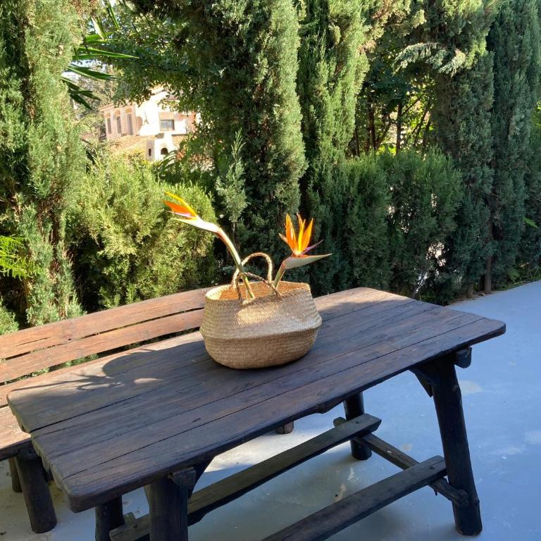 Estudio Pedregalejo Garden Málaga - Apartamento de 1 dormitorio - 10