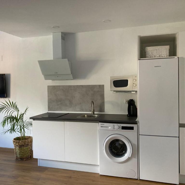 Estudio Pedregalejo Garden Málaga - Apartamento de 1 dormitorio - 2