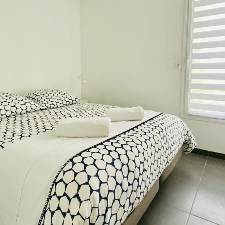 Le Sunlight - T2 bord de mer, Parking - Appartement - Vue sur Mer - 4