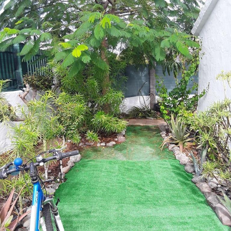 Très BEAU BUNGALOW,JARDIN TROPICAL, RENOVATION ETE 2020 - Casa con 1 dormitorio - 24