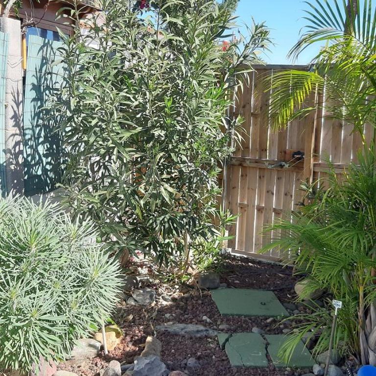 Très BEAU BUNGALOW,JARDIN TROPICAL, RENOVATION ETE 2020 - Casa con 1 dormitorio - 25