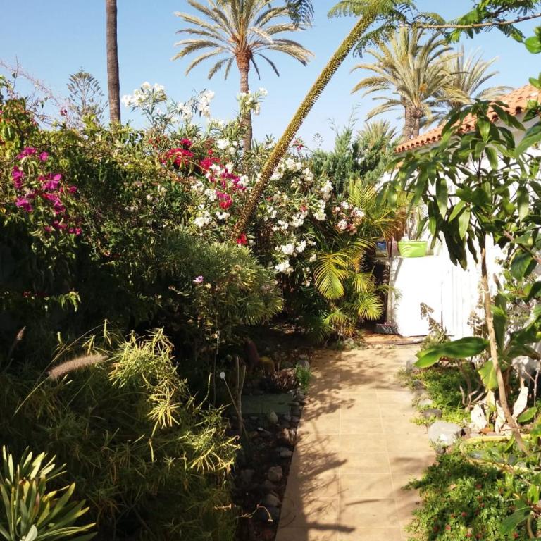 Très BEAU BUNGALOW,JARDIN TROPICAL, RENOVATION ETE 2020 - Casa con 1 dormitorio - 14