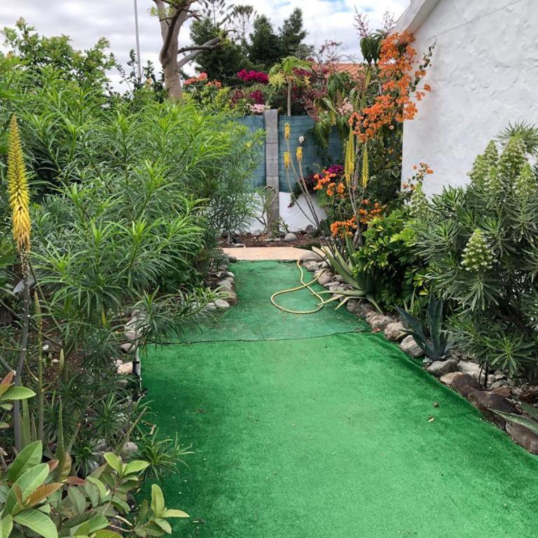 Très BEAU BUNGALOW,JARDIN TROPICAL, RENOVATION ETE 2020 - Casa con 1 dormitorio - 20