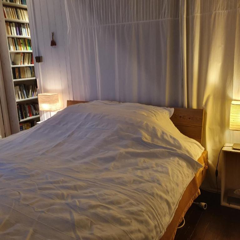 A Room with a View - Maisonnette dans bourg médiéval au bord du Lac Léman - Maison 2 Chambres - 12
