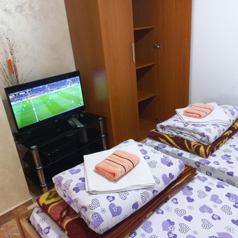 Apartmani Sobe Sljivancanin - Seven-Bedroom House - 3