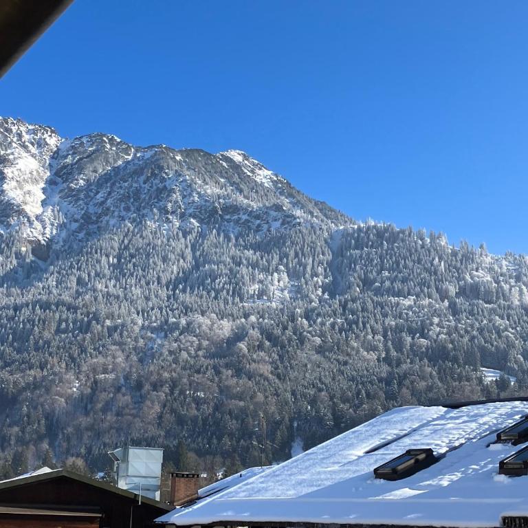 Alpenflair Ferienwohnung 102 Frohnatur - Appartamento con 1 Camera da Letto - 16