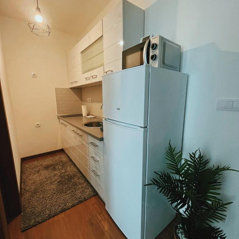 D-moll Divcibare - Apartman sa 1 Spavaćom Sobom - 5