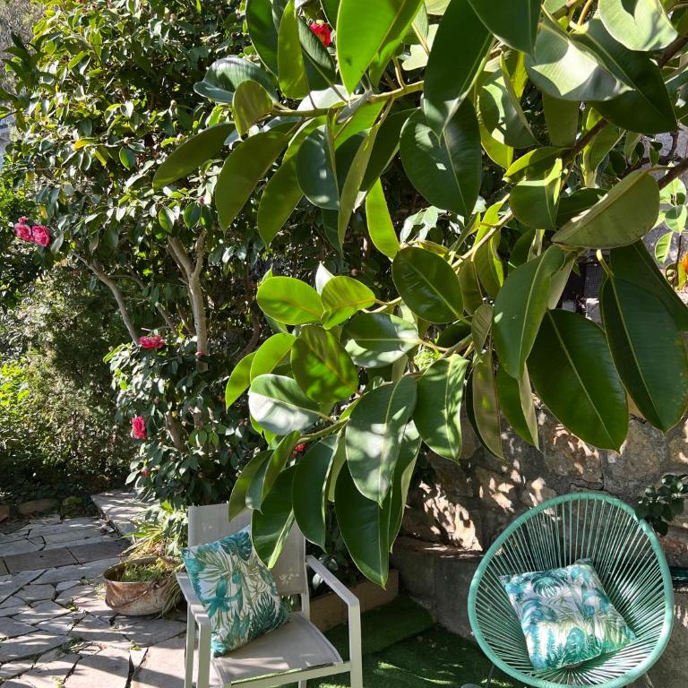 Fantastic villa in the bay of Cannes, 5 minutes from the beach - with private pool - Villa - Vue sur Mer - 21