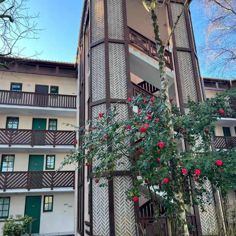 Appartement 6 personnes, 40m2, lave-linge, 2 salles de bain, grand balcon, piscine et proche golf - Appartement 2 Chambres - 21