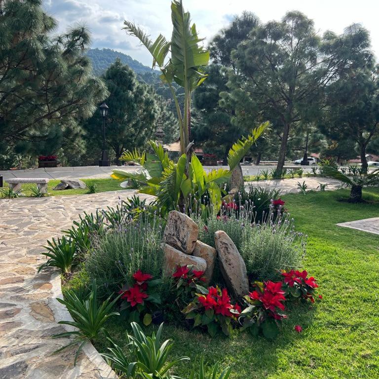 Hermosa Cabaña Familiar hasta para 30 huéspedes - Chalet - 33