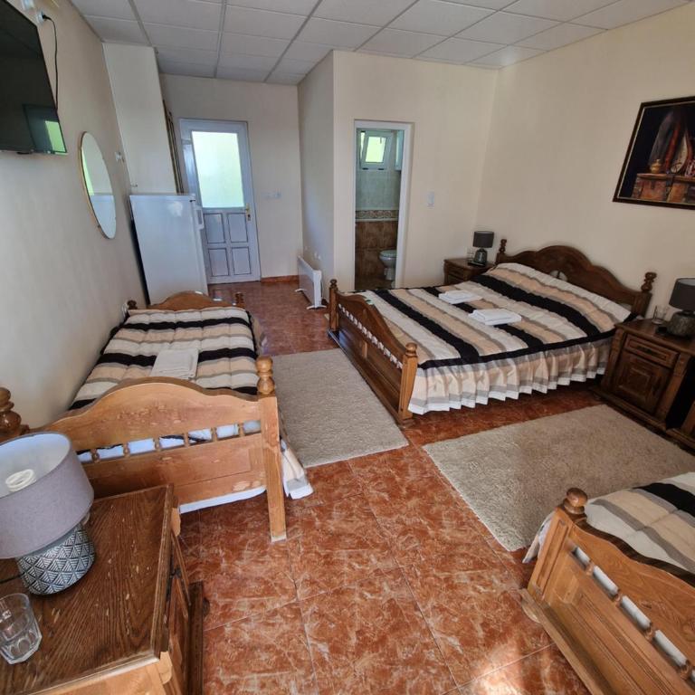 Villa Izvor - Četvorokrevetna Soba sa Balkonom - 6