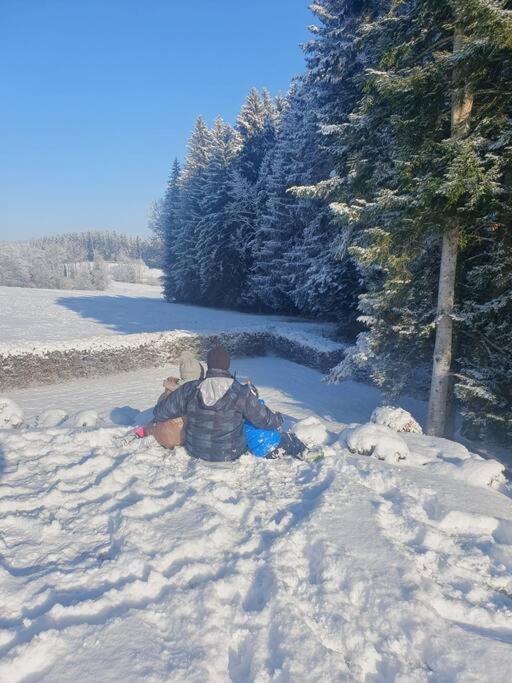 Ferienwohnung im Allgäu mit Bergsicht - Apartment mit 1 Schlafzimmer - 13