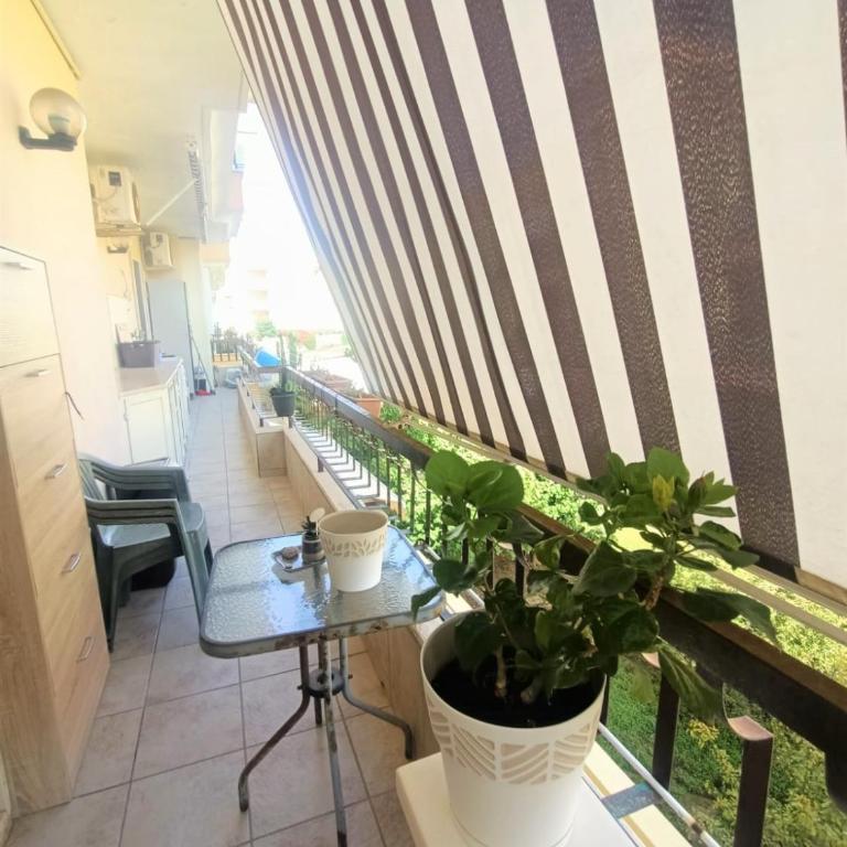 casa vacanza Gallipoli -La Perla- - Appartamento con 2 Camere da Letto - 18