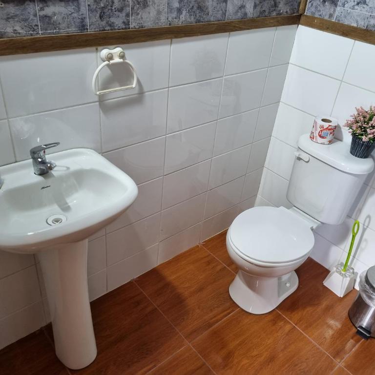 Aparamentos Los Notros Neltume Huilo Huilo - Superior Apartment - 9