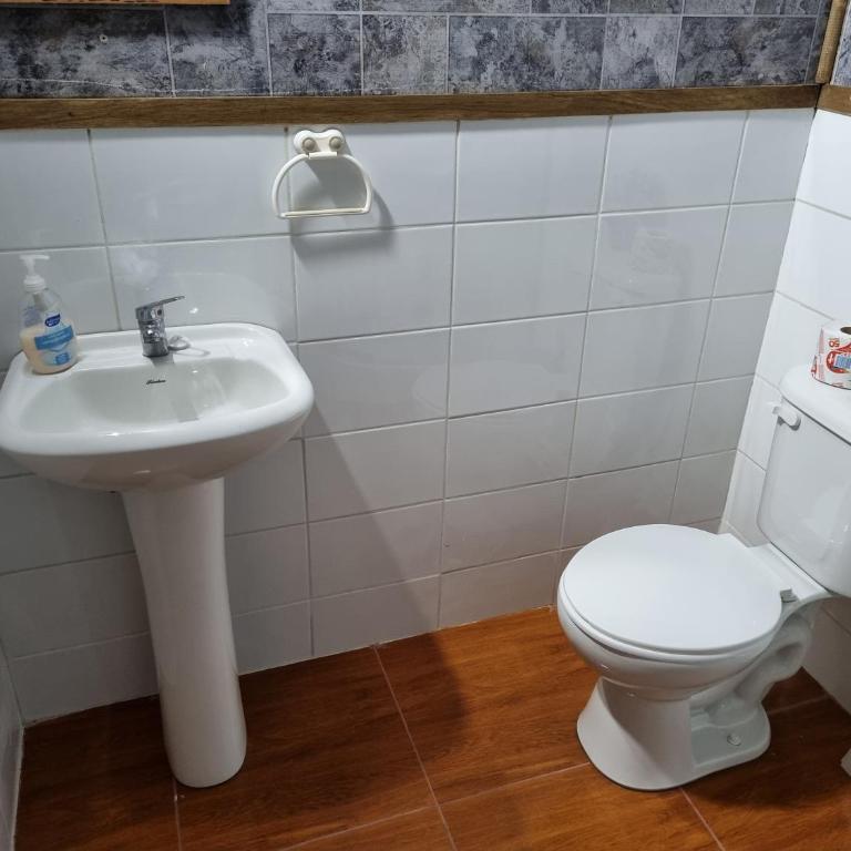 Aparamentos Los Notros Neltume Huilo Huilo - Superior Apartment - 7