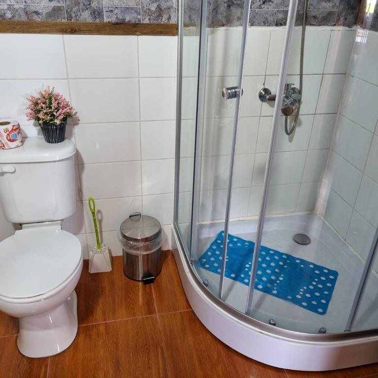 Aparamentos Los Notros Neltume Huilo Huilo - Superior Apartment - 8