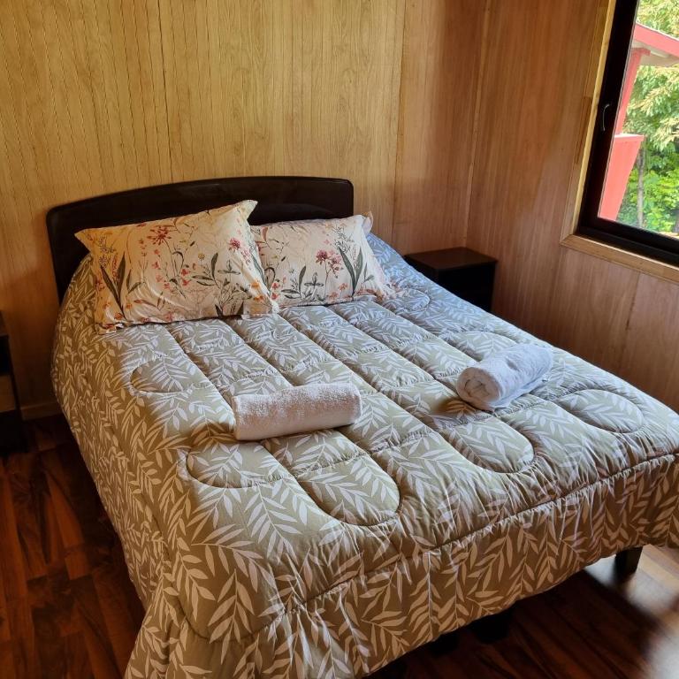 Aparamentos Los Notros Neltume Huilo Huilo - Superior Apartment - 14