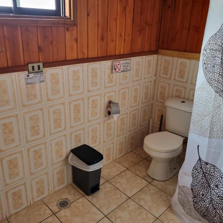Aparamentos Los Notros Neltume Huilo Huilo - Superior Apartment - 18