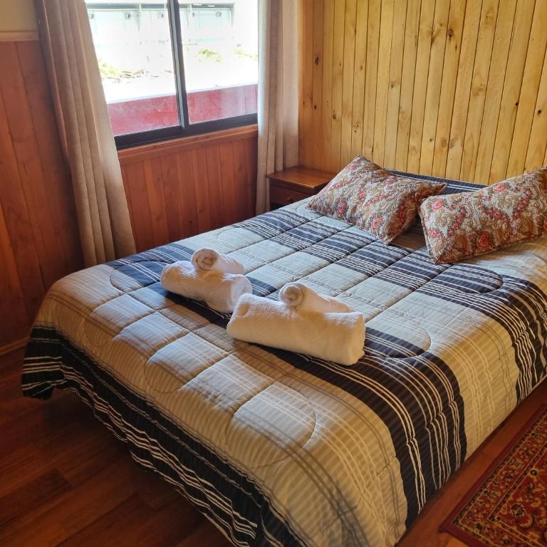 Aparamentos Los Notros Neltume Huilo Huilo - Superior Apartment - 19