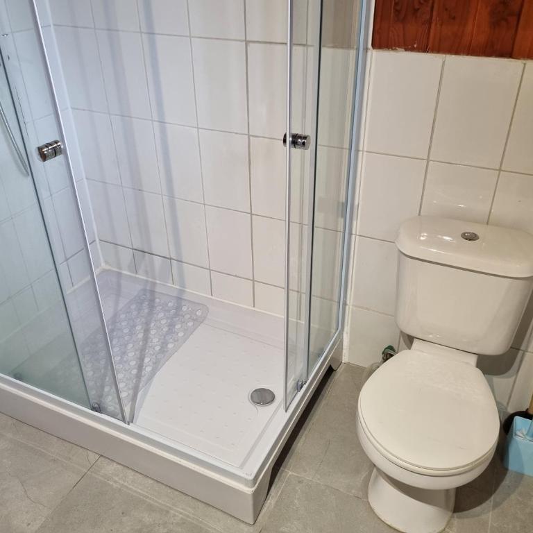 Aparamentos Los Notros Neltume Huilo Huilo - Superior Apartment - 21