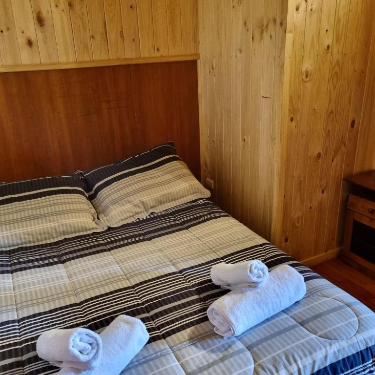 Aparamentos Los Notros Neltume Huilo Huilo - Superior Apartment - 10