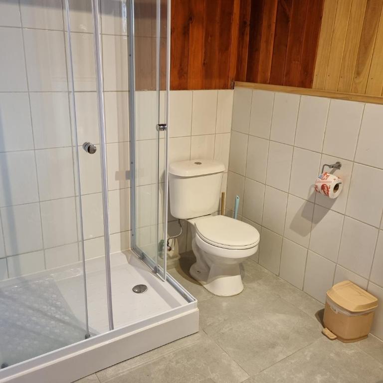 Aparamentos Los Notros Neltume Huilo Huilo - Superior Apartment - 11