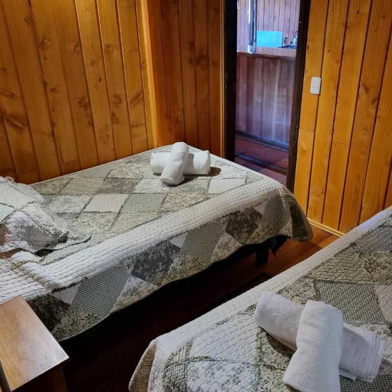 Aparamentos Los Notros Neltume Huilo Huilo - Superior Apartment - 8