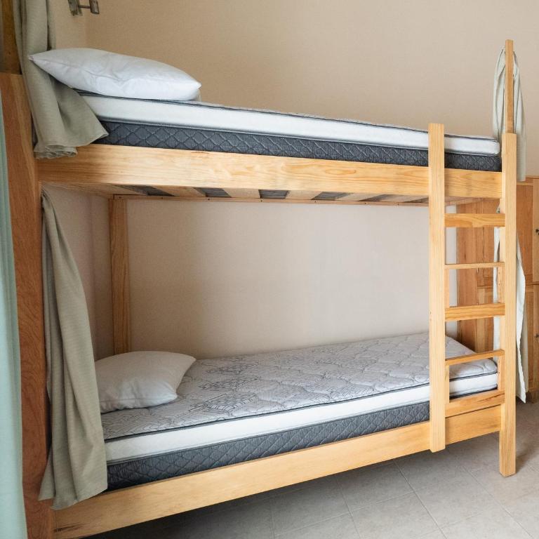 Nido Colibrí - Private Rooms and hostel Dorms in Remate de Paseo Montejo - Bunk Bed in Mixed Dormitory Room - 14