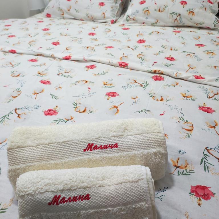 Apartman Malina - Apartman sa 1 Spavaćom Sobom - 13