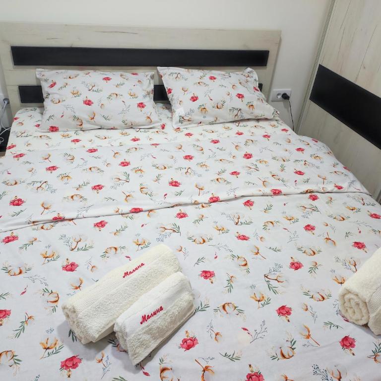 Apartman Malina - Apartman sa 1 Spavaćom Sobom - 10