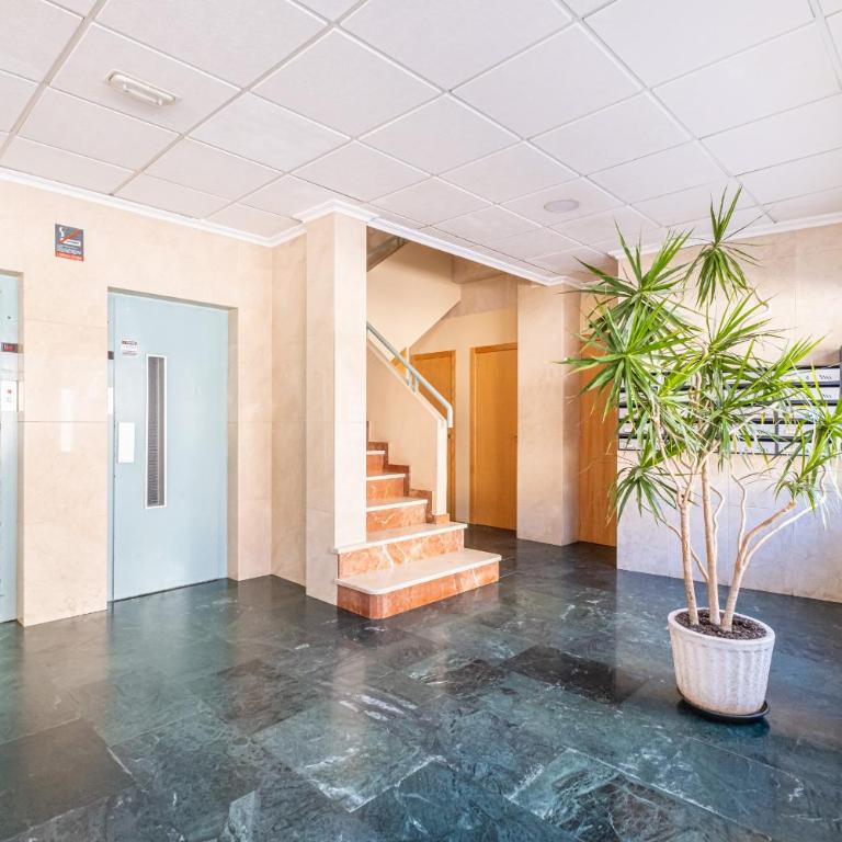 Niza 3-A Apartment Levante Beach - Apartamento - 21